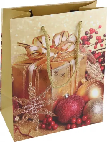 Пакет новогодний ламинированный обложка книги