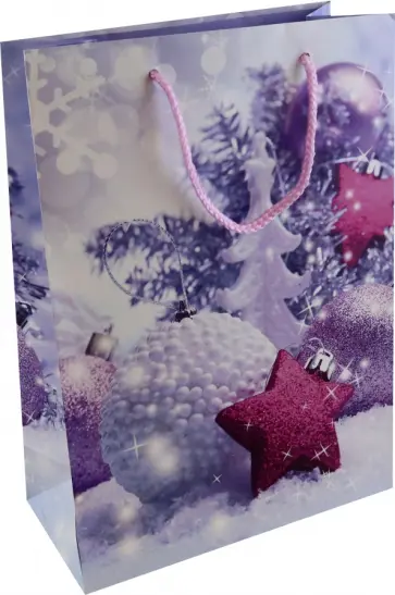 Пакет новогодний ламинированный обложка книги