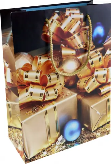 Пакет новогодний ламинированный обложка книги