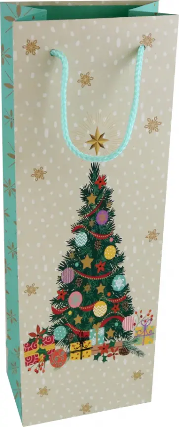 Пакет новогодний ламинированный обложка книги