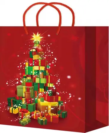 Пакет подарочный ламинированный, в ассортименте обложка книги