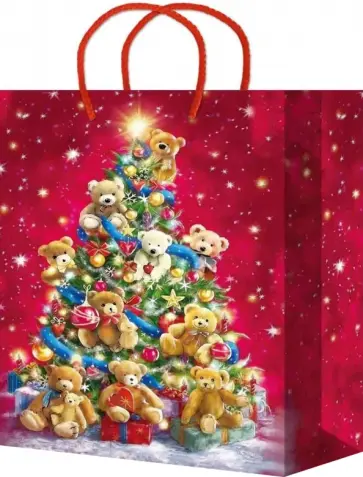 Пакет подарочный ламинированный обложка книги