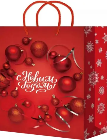 Пакет подарочный ламинированный обложка книги