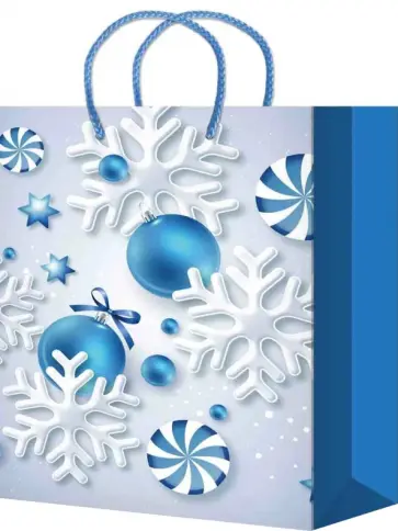 Пакет подарочный ламинированный обложка книги