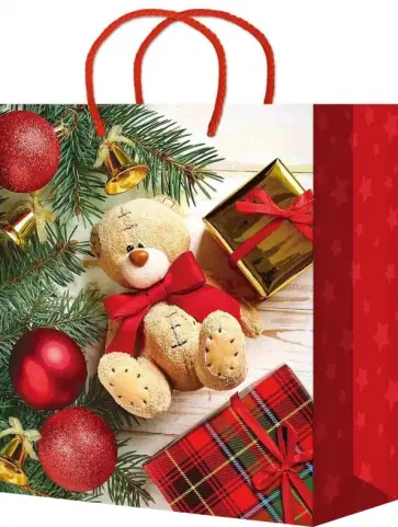 Пакет подарочный ламинированный обложка книги