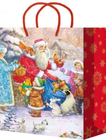 Пакет подарочный ламинированный обложка книги