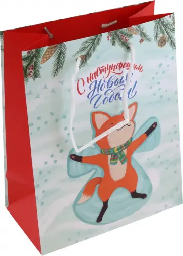 Пакет подарочный Лисичка на снегу обложка книги