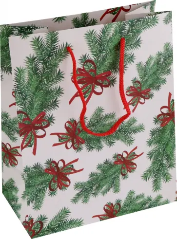 Пакет подарочный Еловая ветка обложка книги