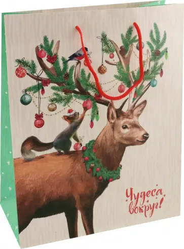 Пакет подарочный Олень обложка книги
