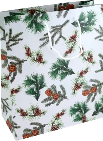 Пакет подарочный Веточки обложка книги