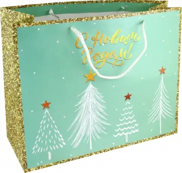Пакет подарочный Елочки со зведами обложка книги