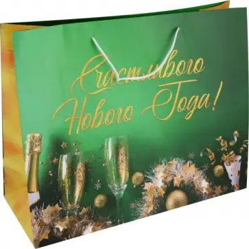 Пакет подарочный Шампанское обложка книги