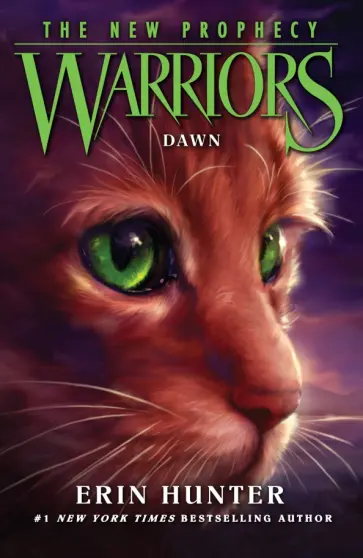 Erin Hunter - Dawn обложка книги