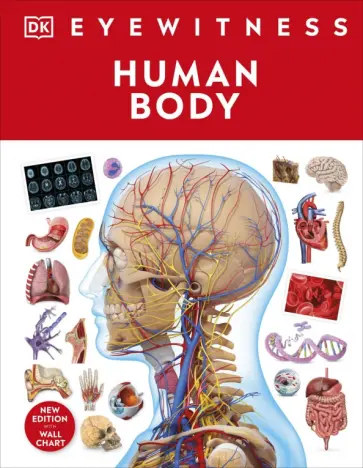 Richard Walker - Human Body Richard Walker - Human Body обложка книги
