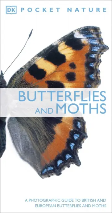 Butterflies and Moths Butterflies and Moths обложка книги