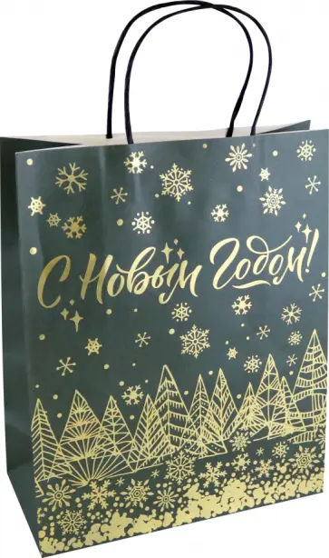 Пакет подарочный С новым годом! обложка книги