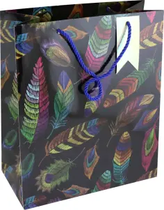 Пакет подарочный Магические перышки обложка книги