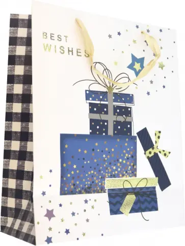 Пакет подарочный обложка книги