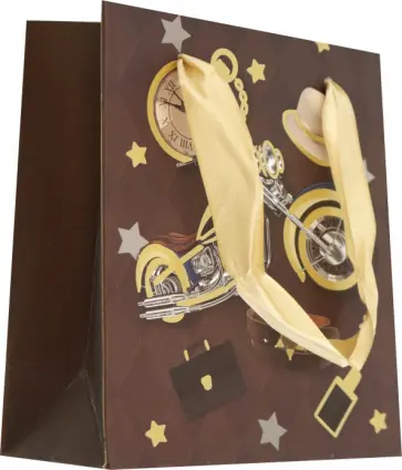 Пакет подарочный обложка книги