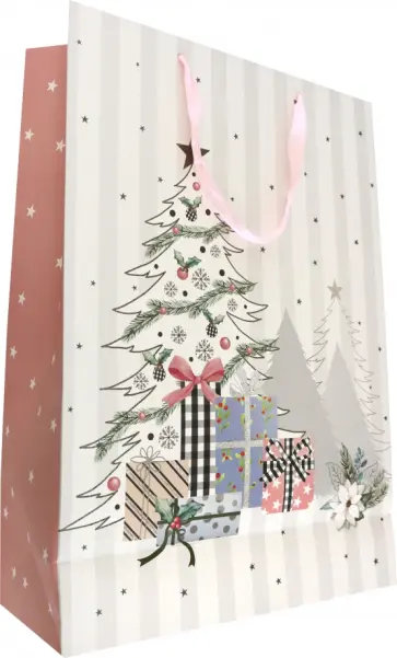 Пакет подарочный обложка книги