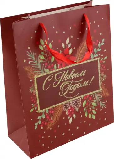 Пакет подарочный обложка книги