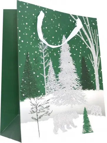 Пакет подарочный обложка книги