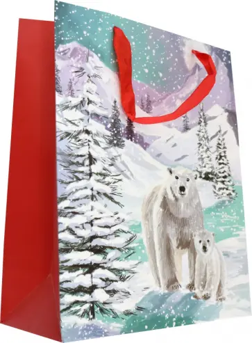 Пакет подарочный обложка книги