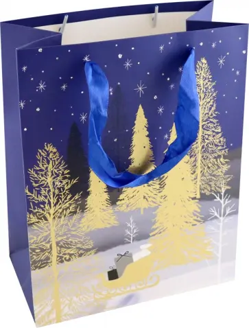 Пакет подарочный обложка книги