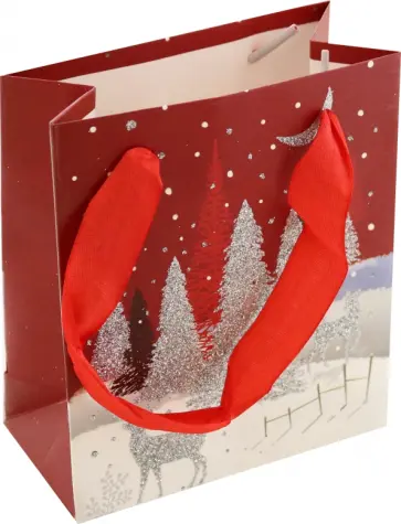 Пакет подарочный обложка книги