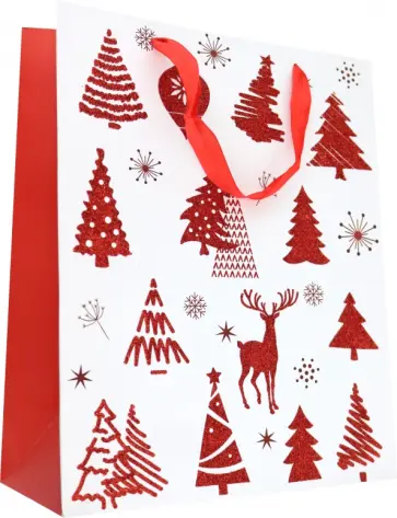 Пакет подарочный обложка книги