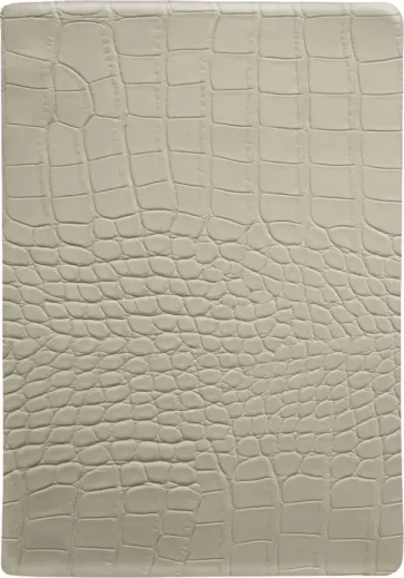 Ежедневник недатированный Reptile, бежевый, 160 листов, А5 обложка книги