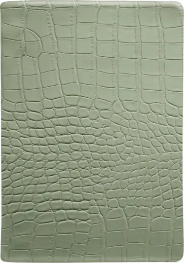 Ежедневник недатированный Reptile, 160 листов, А5, зеленый обложка книги