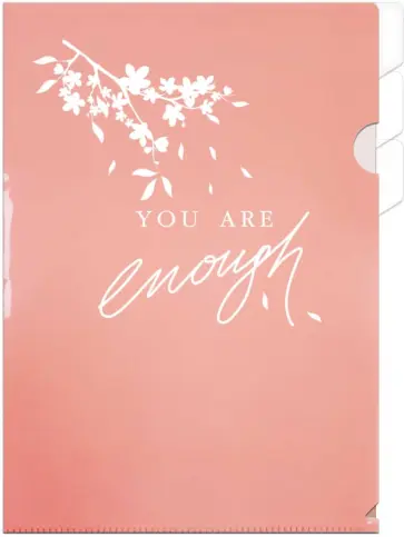 Папка для документов Нежный коралловый, А4, 4 отделения обложка книги