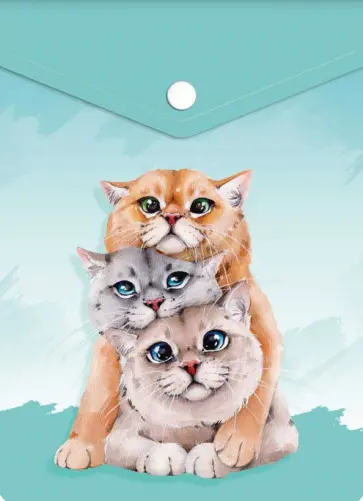 Папка для документов Котики, вертикальная обложка книги