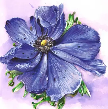 Алмазная мозаика Анемона обложка книги