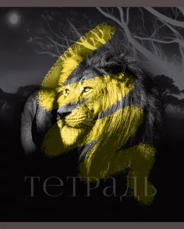 Тетрадь В мире диких зверей, 48 листов, клетка, в ассортименте Тетрадь В мире диких зверей, 48 листов, клетка, в ассортименте обложка книги