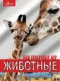 Наш красочный мир