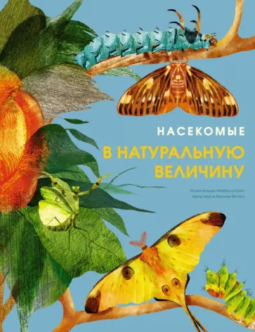 Вальтер Фогато - Насекомые в натуральную величину Вальтер Фогато - Насекомые в натуральную величину обложка книги