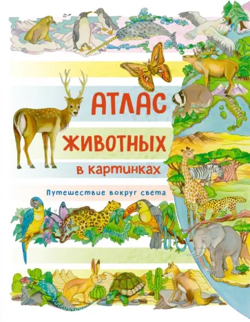 Элеонора Барсотти - Атлас животных в картинках. Путешествие вокруг света обложка книги