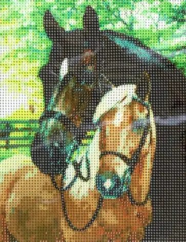 Алмазная мозаика Пара коней обложка книги