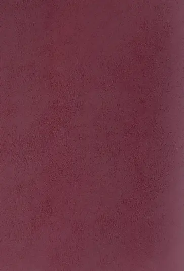 Тетрадь для конспектов Бордо, А4, 96 листов, клетка обложка книги