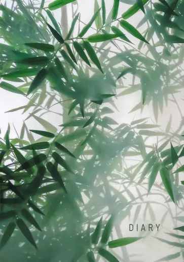 Ежедневник недатированный В дымке, А5, 128 листов обложка книги