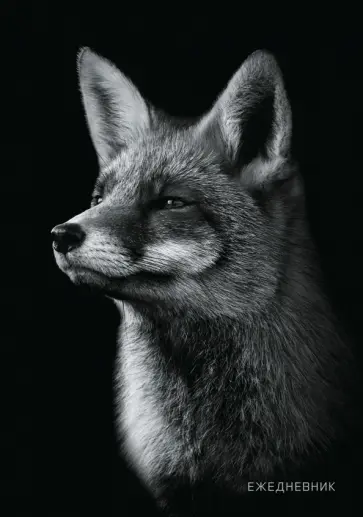 Ежедневник недатированный Лиса, А5, 128 листов Ежедневник недатированный Лиса, А5, 128 листов обложка книги