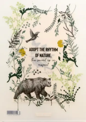 Набор папок-уголков Natural Life, A4, 4 штуки, в ассортименте обложка книги