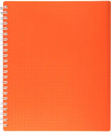 Тетрадь Line Neon Оранжевая, 80 листов, клетка обложка книги
