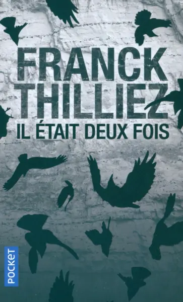 Franck Thilliez - Il était deux fois... Franck Thilliez - Il était deux fois... обложка книги