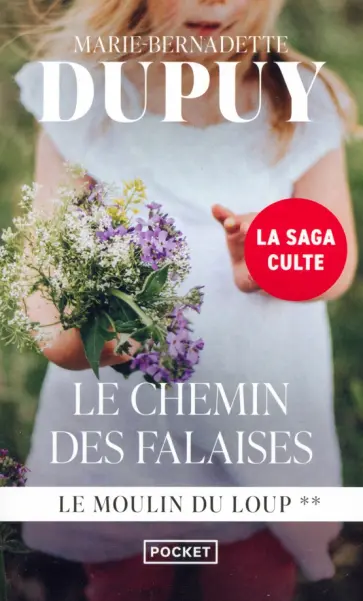 Marie-Bernadette Dupuy - Le Chemin des Falaises обложка книги