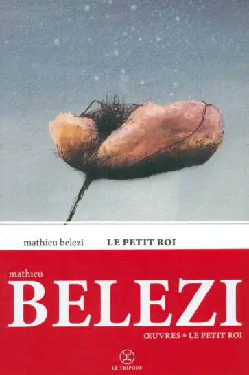 Mathieu Belezi - Le Petit Roi обложка книги