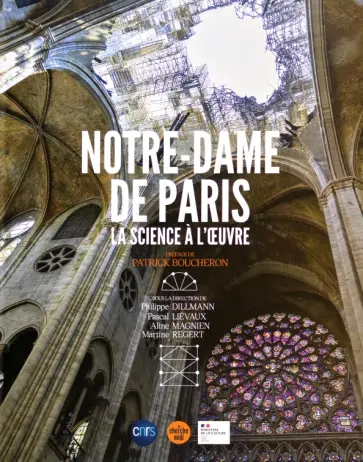 Dillmann, Lievaux - Notre-Dame de Paris, la science à l'œuvre Dillmann, Lievaux - Notre-Dame de Paris, la science à l'œuvre обложка книги