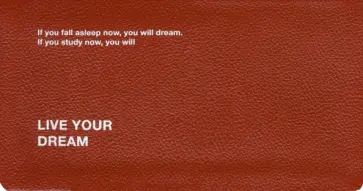 Ежедневник датированный на 2024 год Dream. Терракота, 64 листа обложка книги